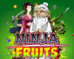 Ninja Fruits