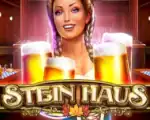 Stein Haus